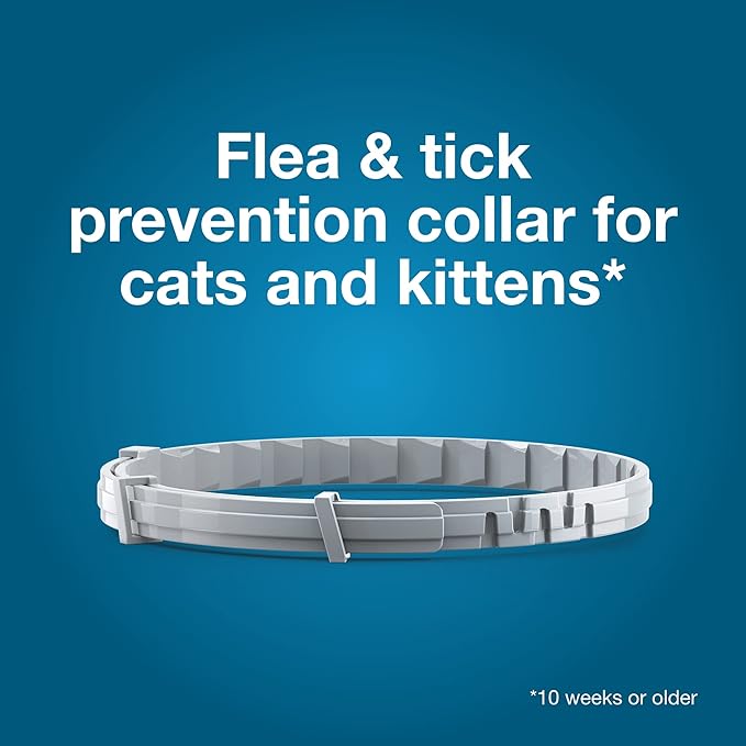 Seresto Cat Flea & Tick Collar – 8 Month Vet-Recommended Protection