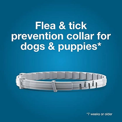 Seresto Small Dog Flea & Tick Collar 2-Pack – 8 Month Vet-Recommended Protection