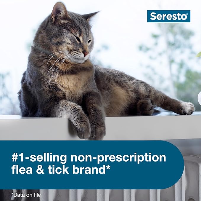 Seresto Cat Flea & Tick Collar – 8 Month Vet-Recommended Protection